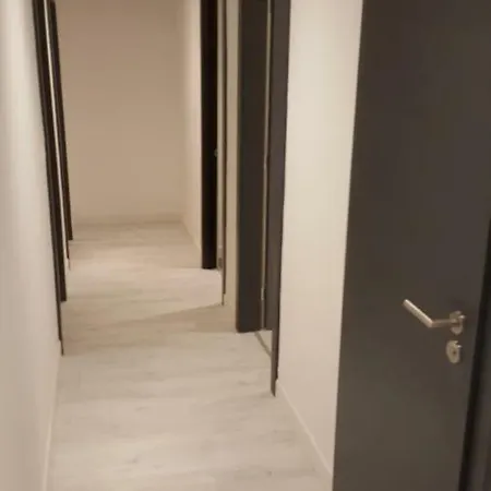 Colocation De Tourisme Hypercentre Gæstehus Strasbourg